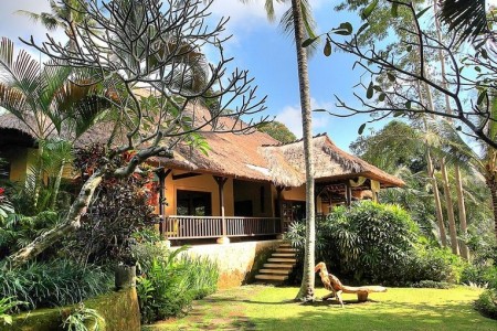 Villa Alamanda Ubud - Villa and Garden