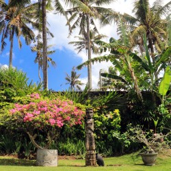 Villa Florimar - Garden