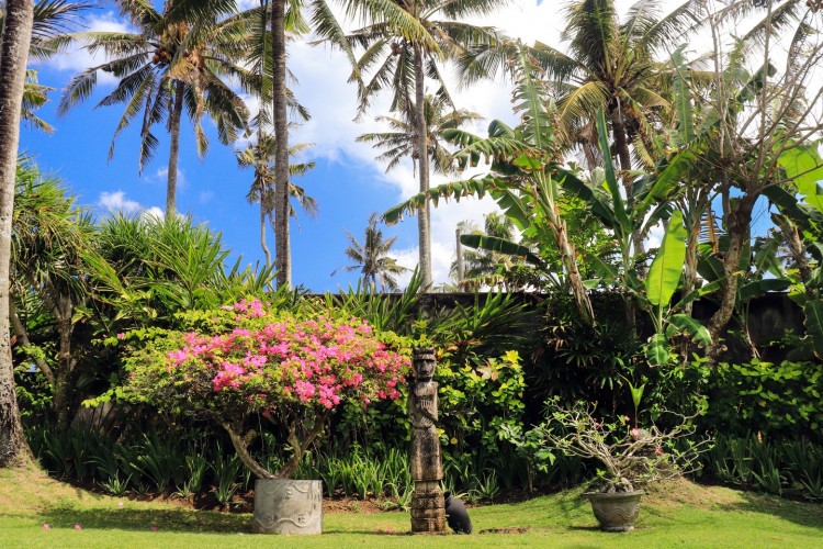 Villa Florimar - Garden