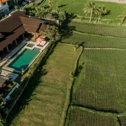 Villa Griya Aditi - Villa and Ricefield View