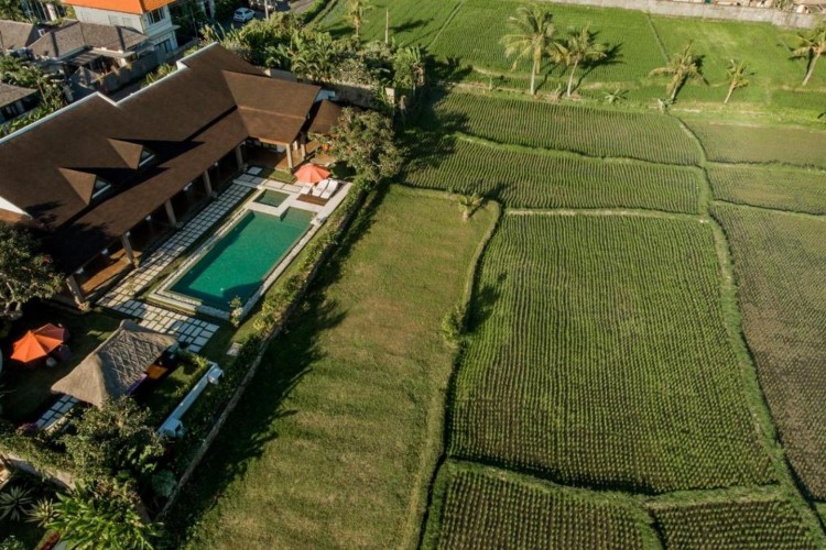 Villa Griya Aditi - Villa and Ricefield View