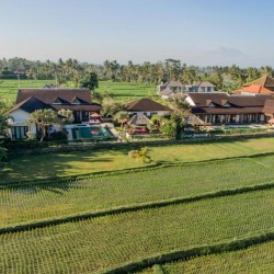 Villa Griya Aditi - Villa Aerial and Ricefield
