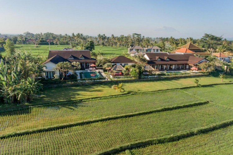 Villa Griya Aditi - Villa Aerial and Ricefield