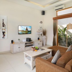 Holl Villa - Living Area and TV