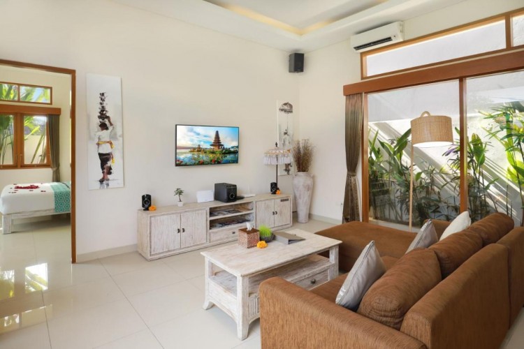 Holl Villa - Living Area and TV