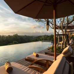 Adiwana Bisma Ubud - Pool and Sunloungers