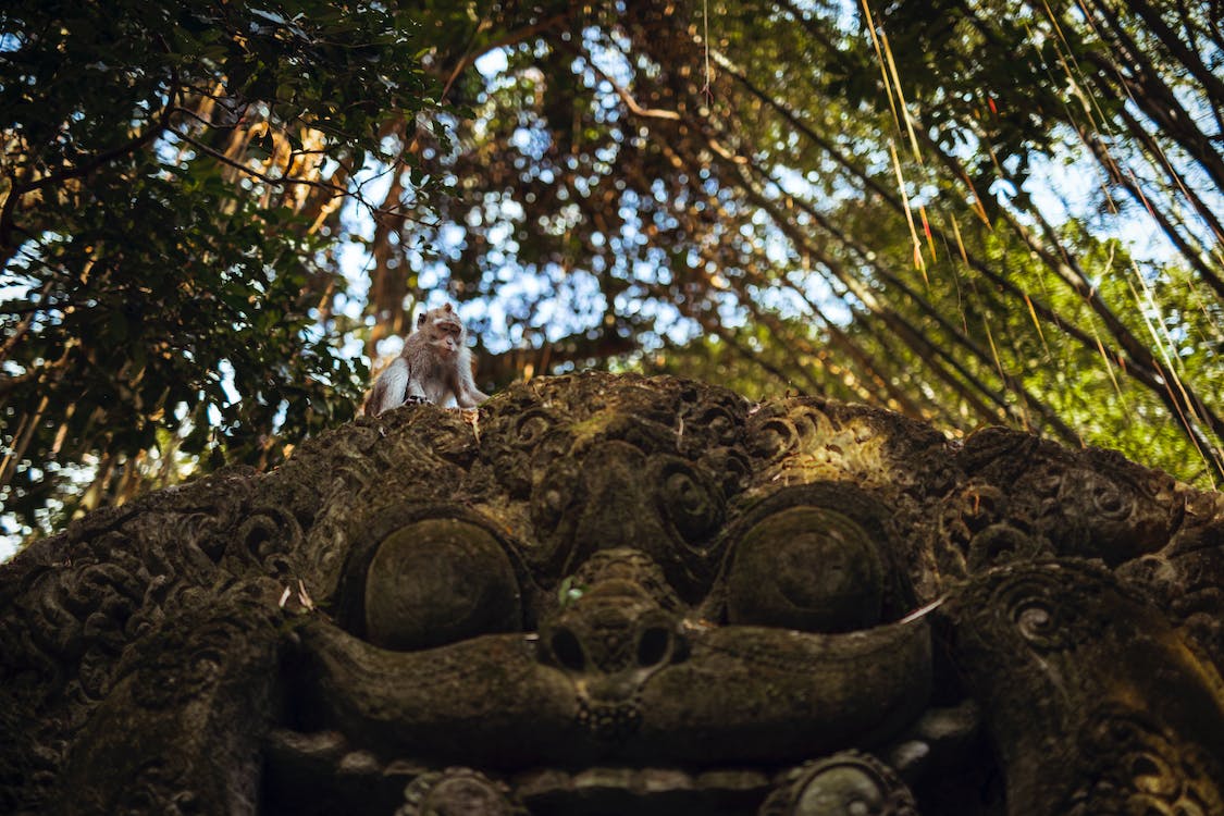 Ubud Monkey Forest