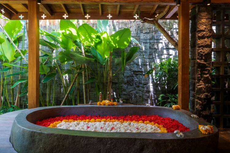 Villa Kapungkur - Bathtub