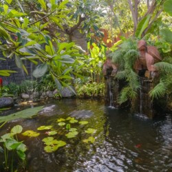 Villa Kapungkur - Pond