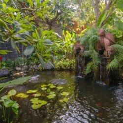 Villa Kapungkur - Pond