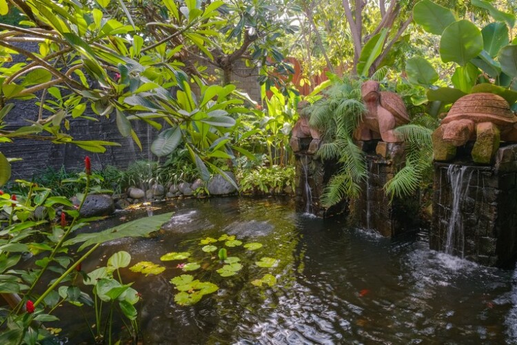 Villa Kapungkur - Pond